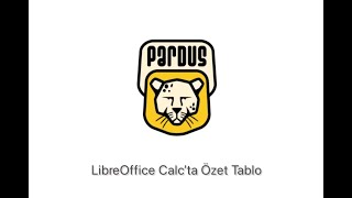 LibreOffice Calcta Özet Tablo [upl. by Lorens]