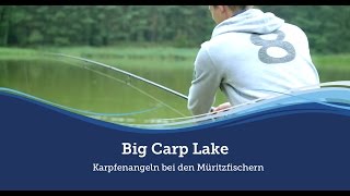 Big Carp Lake  Karpfenangeln bei den Müritzfischern [upl. by Ahola]