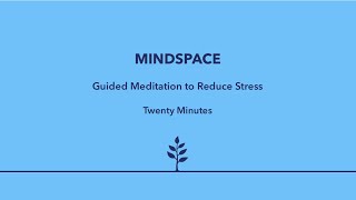 MEDITATION  20 Minute Guided Meditation to Reduce Stress [upl. by Nada880]