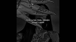 Soolking feat Dadju  Meleğim slowed  reverb [upl. by Shama621]