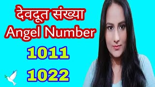 देवदूत संख्या 1011 amp 1022 Angel Number 1011 amp 1022 ऐन्जल नंबर 1011 amp 1022 🦚Plus Oracle💛 [upl. by Michon]