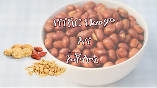 የስዃር ህመም እና ኦቾሎኒ Diabetes and Peanut [upl. by Ferris]