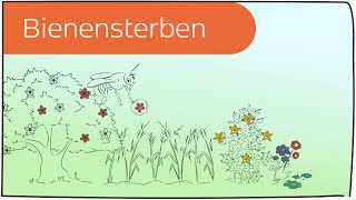 Bienensterben in 3 Minuten erklärt [upl. by Fita913]