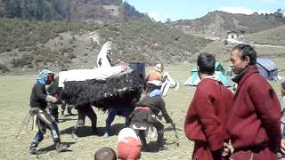 Merak Sakteng Trek Bhutan By Boonserm Tours amp Travels [upl. by Llewol]