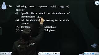 Following events represent which stage of mitosis i Spindle fibres attach to kine [upl. by Oinimreh]