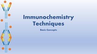 Immunochemistry Basic Concepts [upl. by Ahsinra]