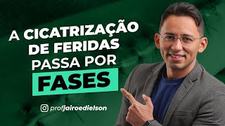 A cicatrização das feridas passa por fases [upl. by Ainesey]