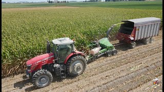 Chopping Corn Silage amp Filling Silo with Massey Ferguson Tractors [upl. by Teillo6]