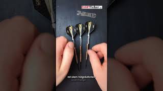 one80 Silience Darts mit Wechseltool Darts Neu one80 [upl. by Sixel828]