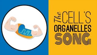 The Cells Organelles SONG  Memorize the Parts of the Cell [upl. by Nohtanhoj]