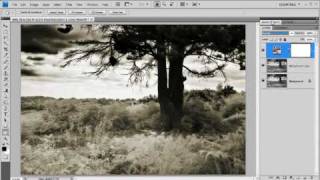 How to process infrared digital images in Photoshop Week 67 [upl. by Allanson]