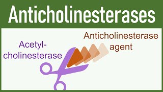 Anticholinesterase Agents Organophosphates amp Carbamates [upl. by Adair]