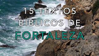 15 TEXTOS BIBLICOS DE FORTALEZA [upl. by Omolhs]