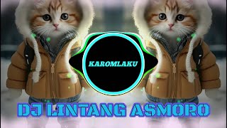 DJ LINTANG ASMORO X PARGOY Viral Tiktok [upl. by Sokairyk193]