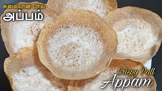 இலங்கையின் சுவையான பால் அப்பம்  Srilankan Tasty Pall Appam  Crispy Pall Appam Recipe in Tamil [upl. by Agamemnon91]