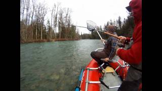 Cowichan River Steelhead  BC Steelheading  RamblingFishermancom [upl. by Shawna]