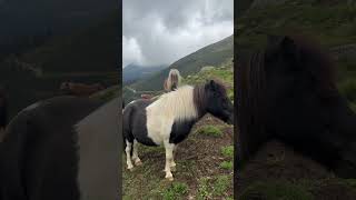 Second year hiking in Ratschings alps italy hiking [upl. by Reyem]