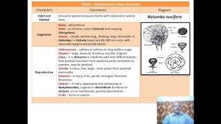 Dicot Families Part 1A Polypetalae Thalamiflorae [upl. by Welford723]