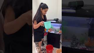 Watermark fish minivlog aquarium vlog food sanjhalikavlog trending [upl. by Matty]