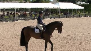 Beezie Maddens Flatwork Demonstration  Clips [upl. by Herrle]