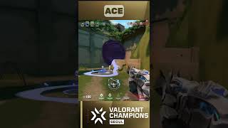 6 Kill ACE VIT Kicks Dominates vs TALON  VCT Champions Seoul valorantclips [upl. by Bellanca]