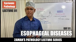 Systemic Pathology Lecture 01  Esophageal Diseases Day 01 [upl. by Enirehtak]