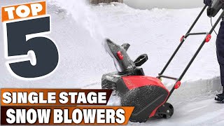 Winter MustHave 5 Best Single Stage Snow Blowers [upl. by Samford]