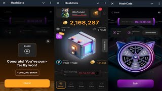 HashCats  New Feature Helps You Earn More HASH Coins Faster  Come Join Me  Telegram Crypto Bot [upl. by Zined]