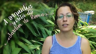 A orquídea secreta do jardim de Roma [upl. by Netsrik173]