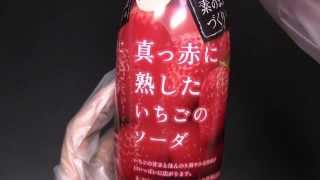 素のままづくり 真っ赤に熟したいちごのソーダ Ichigo Soda [upl. by Yenaj141]