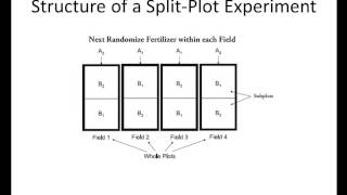 Minitab 16 Tutorial No 1 Split Plot DOE Part I Theory [upl. by Muhcon]