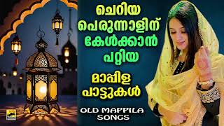 ചെറിയ പെരുന്നാൾ പാട്ടുകൾ  Cheriya Perunnal Song  Eid Song 2024  cheriya perunnal pattukal 2024 [upl. by Renckens10]