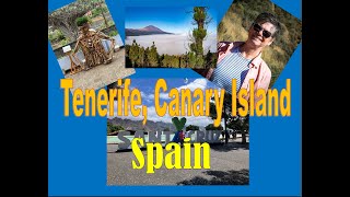 Discover The Magical Beauty Of Tenerife Island In The Canary Islands  The Ultimate World Cruise [upl. by Ordep]