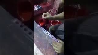 LAKME 9to5 lipstick fake production factory part2 [upl. by Conlen52]