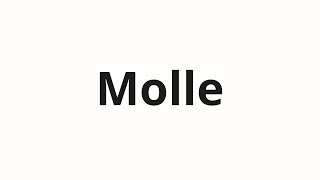 How to pronounce Molle [upl. by Ahsinna]