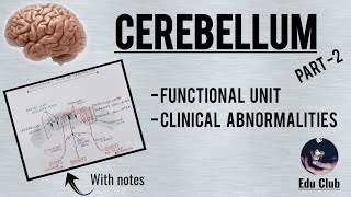 Cerebellum  Functional Unit  Clinicals  QNA  PG  Part 22 [upl. by Snashall]