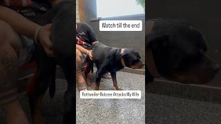 Rottweiler Bubzee Attacks My Wife Death Seen Too Closely shorts dogs rottweiler youtubeshorts [upl. by Burck]