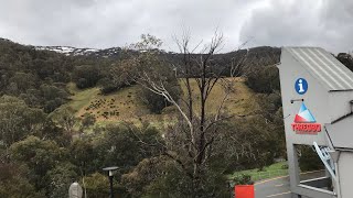 Thredbo — First Impression [upl. by Sukram]