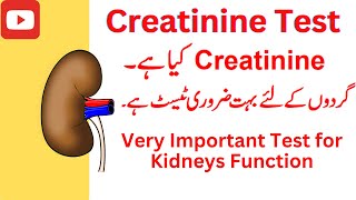 creatinine test kya hai normal range [upl. by Divine291]