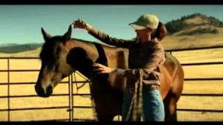 Fundamentals of Horsemanship  The halter [upl. by Amalberga]