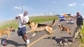 BEST SHOCKING Police Dog Chase of All Time Dont Ever Run From a Police Dog [upl. by Benjamin]