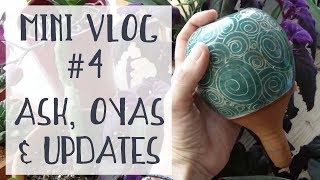 Minivlog 4  Ask Oyas Updates plantaddict  Concours sur Instagram [upl. by Rochella79]