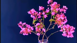 Crape Myrtle Floral Design [upl. by Ilatfen167]