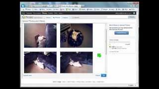 How to upload photos to Picasa Web Album  Video guide [upl. by Cinemod527]