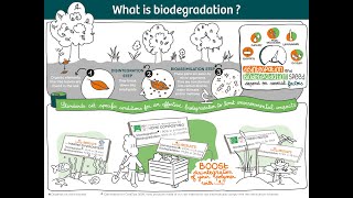 What is biodegradability [upl. by Quickman]