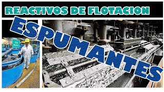 Reactivos para flotación de minerales ESPUMANTE [upl. by Eldreeda632]