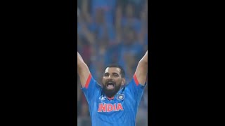 Who could forget this incredible performance from Mohammad Shami in the Cricket World Cup last year [upl. by Leummas]