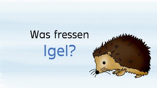 Was fressen Igel Lernvideo Sachunterricht Grundschule [upl. by Marylinda]