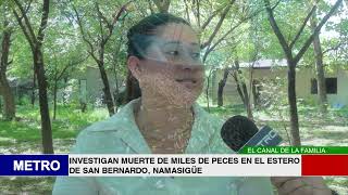 INVESTIGAN MUERTE DE MILES DE PECES EN EL ESTERO DE SAN BERNARDO NAMASIGÜE 2 [upl. by Sissel]