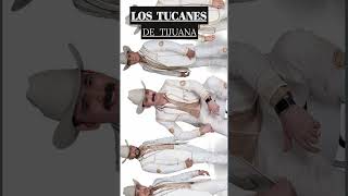 El Amor Soñado Los Tucanes De Tijuana musica [upl. by Threlkeld370]